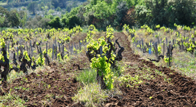 815_副本 815_副本