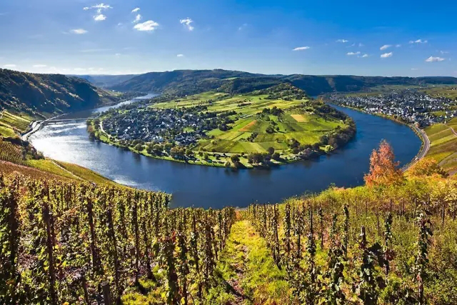 全球升溫，或將影響葡萄酒口感